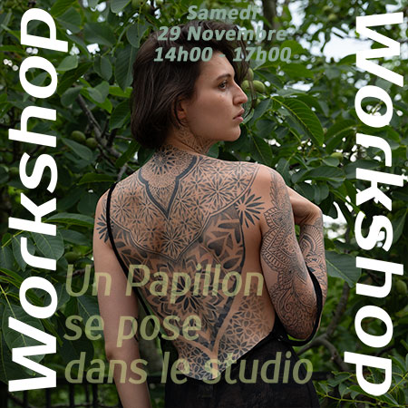 25 11 29 papillon