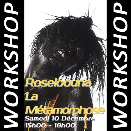 22-12-10-Rose-loouna-la-metamorphose